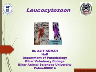 Leucocytozoon: Haemoparasite in Birds from Bihar Animal Sciences University