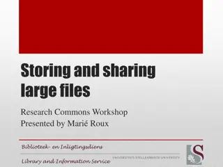 Efficient Ways to Store and Share Large Files