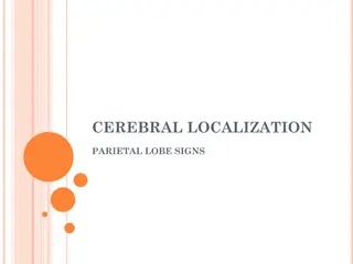 Parietal Lobe Functions and Lesions