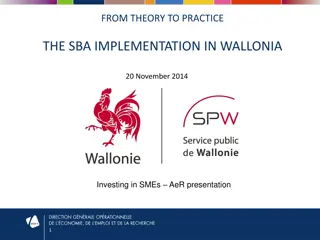 Implementation of Small Business Act in Wallonia: Progress and Future Perspectives