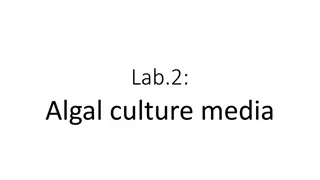 Algal Culture Media for Lab Growth