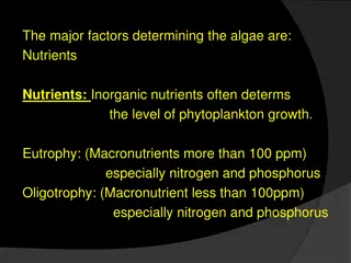 Factors Influencing Algae Growth in Water Ecosystems