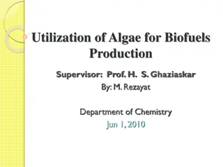 Utilization of Algae for Biofuels Production: A Comprehensive Overview