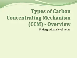 Mechanisms of Carbon Concentration in Plants: Biochemical and Biophysical Variants