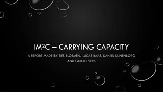 Analysis of Carrying Capacity Report by Bloemen, Baas, Kunenborg, and Siers