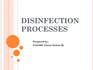 Disinfection Processes and Mechanisms