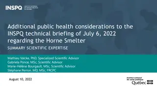 Additional Public Health Considerations on Horne Smelter: Expert Analysis