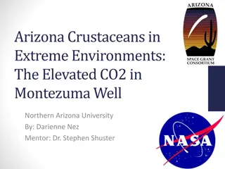 Arizona Crustaceans in Extreme Environments Study