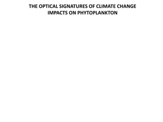 Optical Signatures of Climate Change Impacts on Phytoplankton