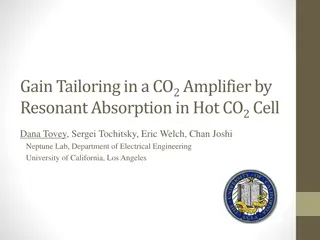 Optimizing Gain Tailoring in CO2 Amplifiers for Laser Applications