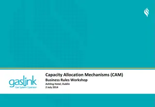 Capacity Allocation Mechanisms (CAM) Business Rules Workshop Summary