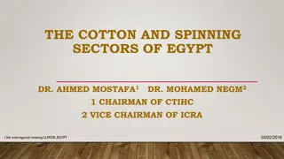 Insights into Egypt's Cotton and Spinning Sectors