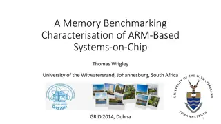 Memory Benchmarking of ARM-Based Systems-on-Chip