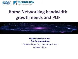 Meeting Home Networking Bandwidth Needs with GEPOF Technology