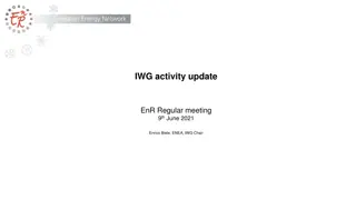 Update on IWG Activities and Meetings - June 2021