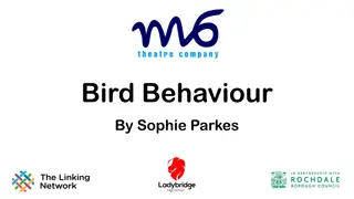 Engaging Activities for Learning About Bird Behavior