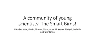 Insights from Young Scientists on How Temperature Affects Bird Behavior