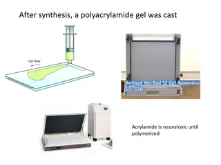 DNA Fragment Analysis Through Polyacrylamide Gel Electrophoresis