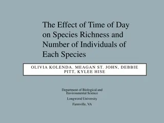 Effect of Time of Day on Bird Species Richness and Individuals