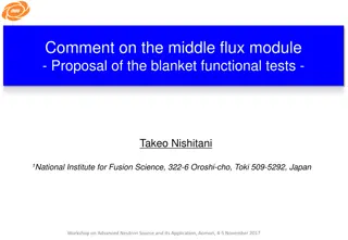 Proposal for Comprehensive Functional Testing of Blanket Modules in Fusion Reactors