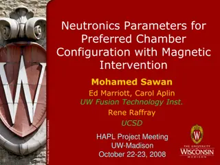 Advanced Neutronics Parameters for Fusion Chamber Configuration with Magnetic Intervention