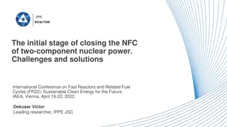 Challenges and Solutions in Closing the NFC of Two-Component Nuclear Power