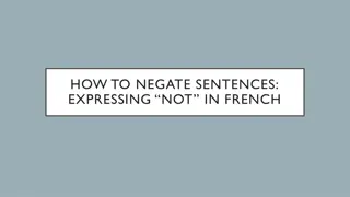 French Sentence Negation Guide