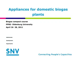 Exploring Appliance Use in Domestic Biogas Plants