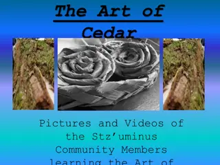 The Art of Cedar: A Visual Journey Through Stz'uminus Community Traditions