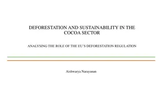 Deforestation and Sustainability in the Cocoa Sector: Role of EU Regulation