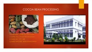 Cocoa Bean Processing in Food Technology Course