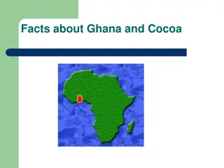 Fascinating Facts About Ghana and Cocoa