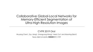 Collaborative Global-Local Networks for Memory-Efficient Segmentation of Ultra-High Resolution Images