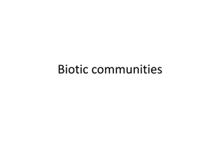 Biotic Communities and Benthic Ecosystems