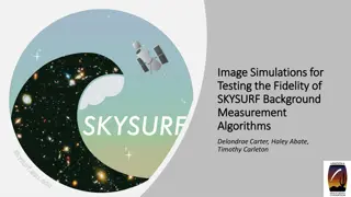 SkySurf Image Simulations for Testing Fidelity of Measurement Algorithms