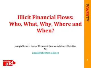 Unveiling Illicit Financial Flows: Who, What, Why, Where, and When