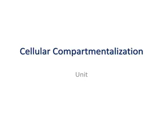 Cellular Compartmentalization Unit in Biology Course