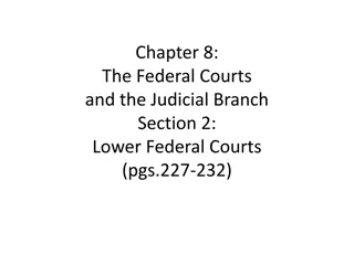 The Federal Court System in the United States