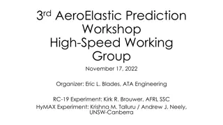 Aeroelastic Prediction Workshop High-Speed Working Group Details