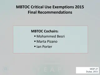 Key Recommendations and Trends on Methyl Bromide Usage in 2015 Dubai Conference