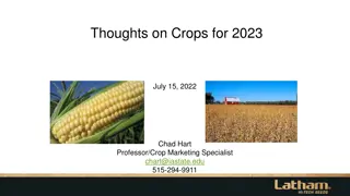 Insights on Crops for 2023 by Chad Hart - USDA Data Analysis