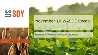 Key Revisions and Outlook for Soy Complex in November WASDE Report