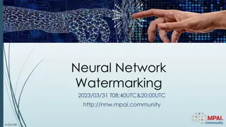 Neural Network Watermarking Technologies