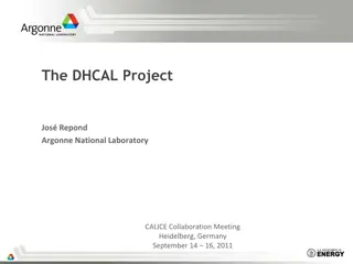 Updates on the DHCAL Project and Test Beam Campaigns