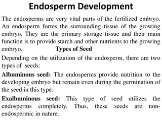 Endosperm Development in Plants