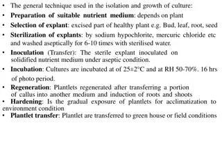 Plant Tissue Culture Techniques: Isolation and Growth