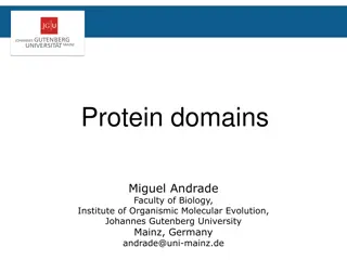 Understanding Protein Domains and Databases