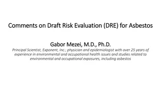 Comments on Draft Risk Evaluation for Asbestos by Gabor Mezei, M.D., Ph.D.