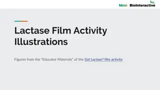 Lactase Film Activity Illustrations from Got Lactase? Educator Materials