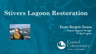 Stivers Lagoon Restoration Project Overview